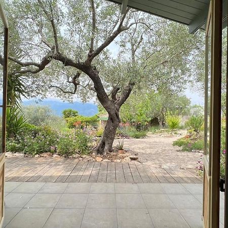 Finca Florecer Tivenys 外观 照片
