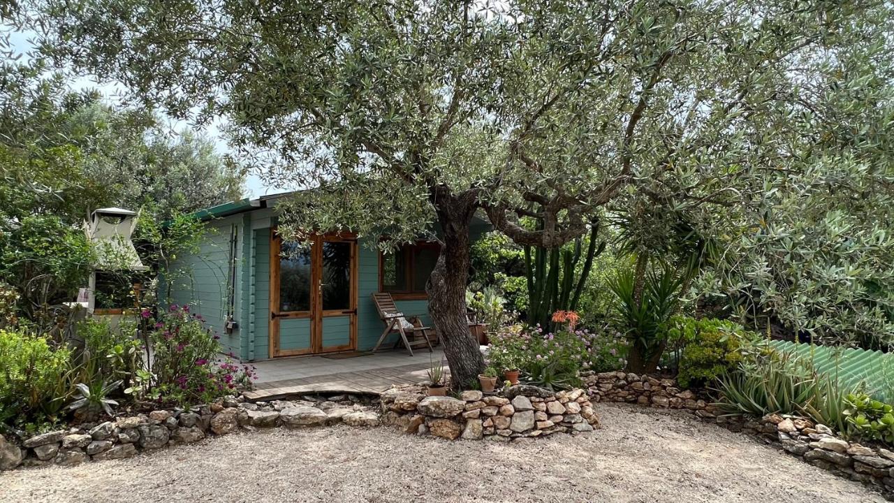 Finca Florecer Tivenys 外观 照片