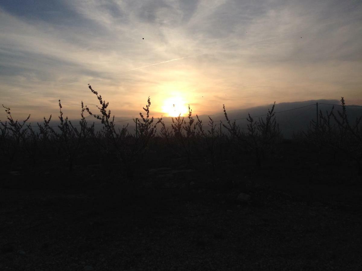 Finca Florecer Tivenys 外观 照片