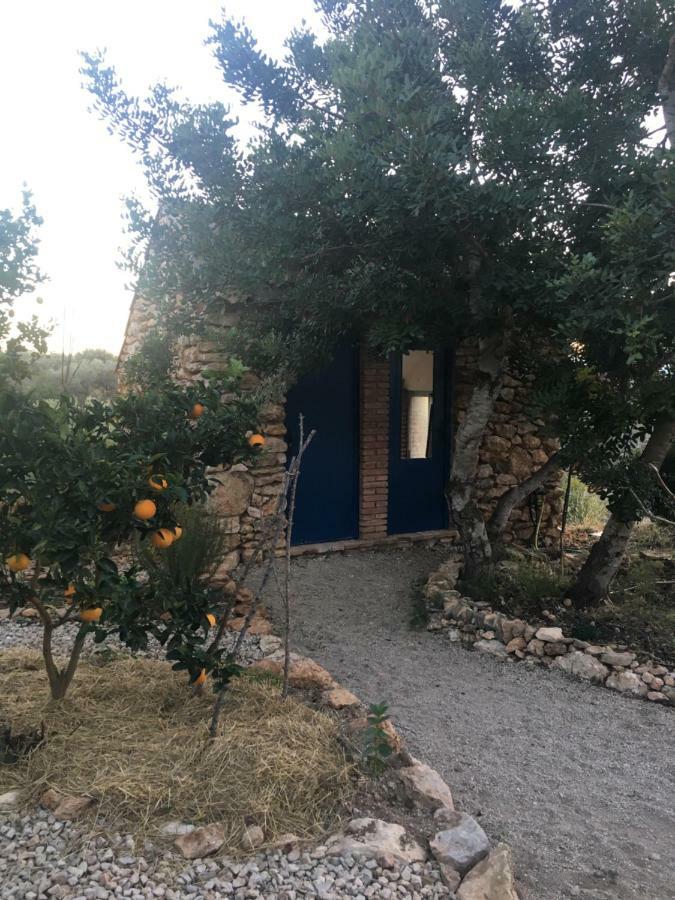 Finca Florecer Tivenys 外观 照片